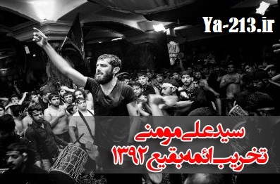 سید علی مومنی