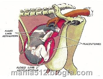 http://s2.picofile.com/file/7919934301/%D8%AA%D9%84%D9%82%DB%8C%D8%AD_%D9%85%D8%B5%D9%86%D9%88%D8%B9%DB%8C_%DA%AF%D8%A7%D9%881.jpg