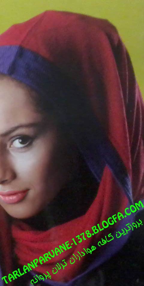 http://s2.picofile.com/file/7924089030/Photo3338.jpg