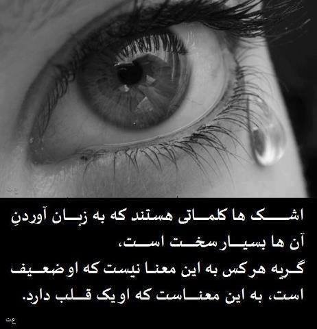 پاسخ به:اینجا همه چیز عالیه!!