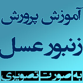 http://s2.picofile.com/file/7937275585/%D8%B2%D9%86%D8%A8%D9%88%D8%B1_%D8%B9%D8%B3%D9%84.jpg