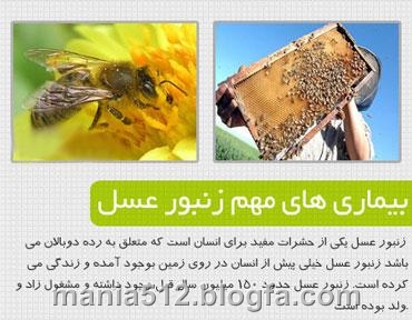 http://s2.picofile.com/file/7937276555/%D8%B2%D9%86%D8%A8%D9%88%D8%B1_%D8%B9%D8%B3%D9%843.jpg