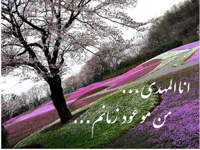 http://s2.picofile.com/file/7943262789/Tatebayashi_Flower_Garden_with_purple_and_pink_flowers.jpg