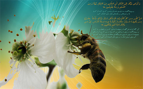 پوستر آیه زنبور عسل