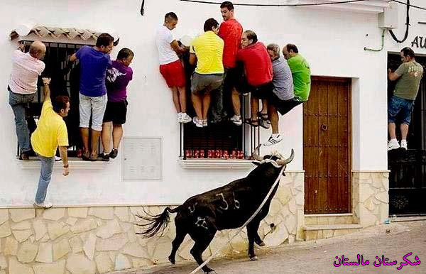 http://s2.picofile.com/file/7949986127/%d8%b9%da%a9%d8%b3_%d8%ae%d9%86%d8%af%d9%87_%d8%af%d8%a7%d8%b1_%da%af%d8%a7%d9%88_%d8%a8%d8%a7%d8%b2%db%8c.jpg