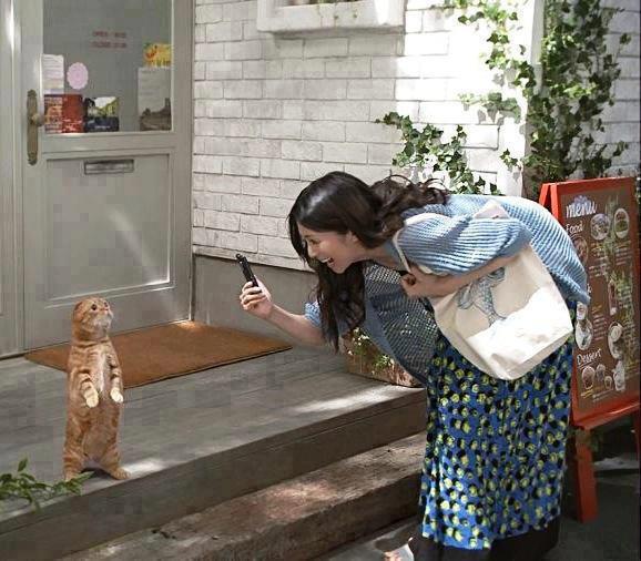 http://malistanmalistan.blogfa.com/category/9+خنده دار ترین عکس های جهان در وبلاگ شکرستان مالستان عکس های خنده دار