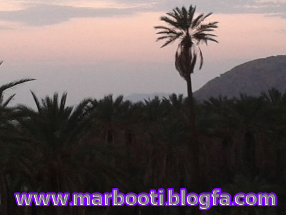 http://s2.picofile.com/file/7955911391/nakhl2.jpg