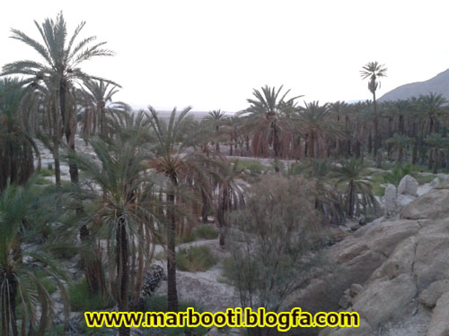 http://s2.picofile.com/file/7955952147/nakhl_3.jpg