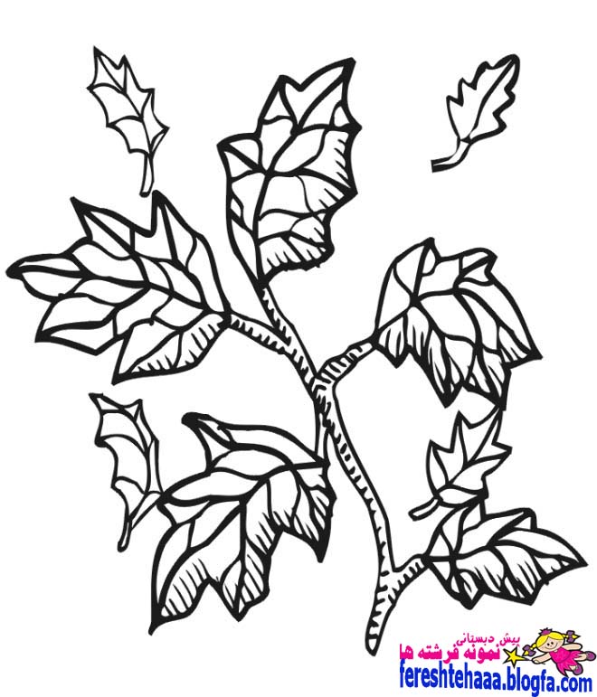 http://s2.picofile.com/file/7960947090/leavescoloring_Copy.jpg
