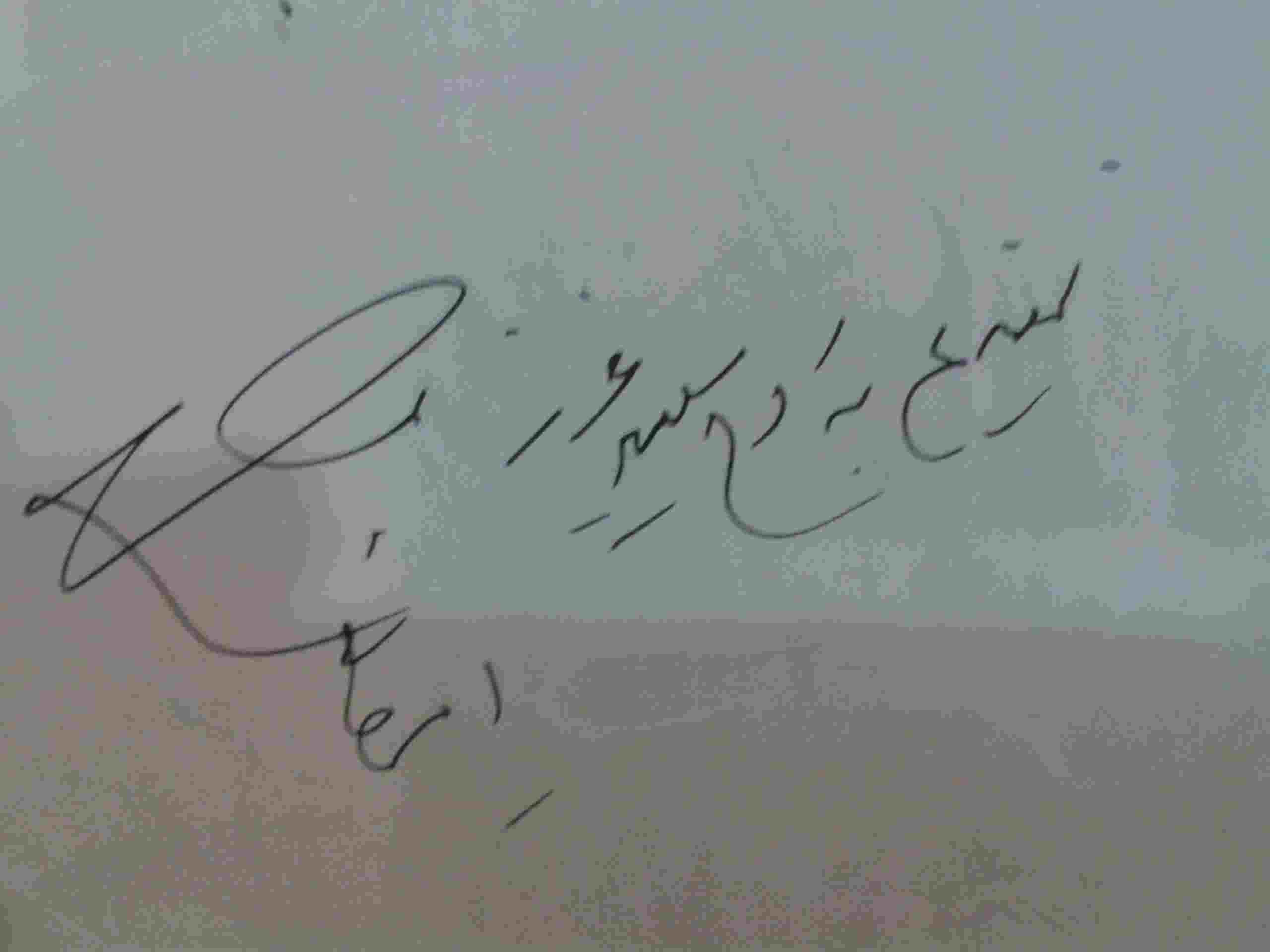 amir khani