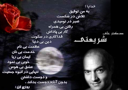 پاسخ به:اینجا همه چیز عالیه!!