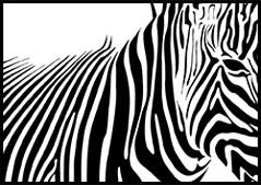 Zebra Skin