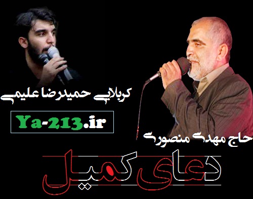 مهدی منصوری و حمیدرضا علیمی