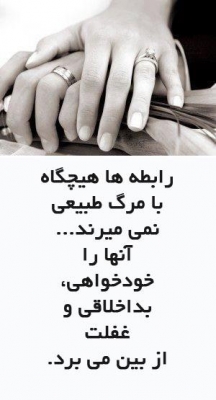 پاسخ به:اینجا همه چیز عالیه!!
