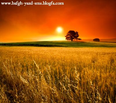 تصاویر زیبا از مناظر