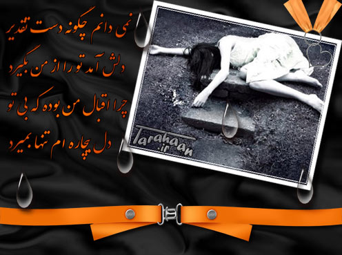 کارت پستال درخواستی طراحان
