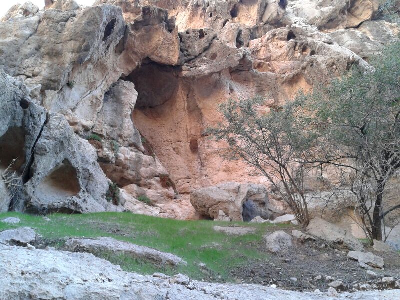 http://s2.picofile.com/file/8100655992/taravat_tabiat_kahneh_3_.jpg