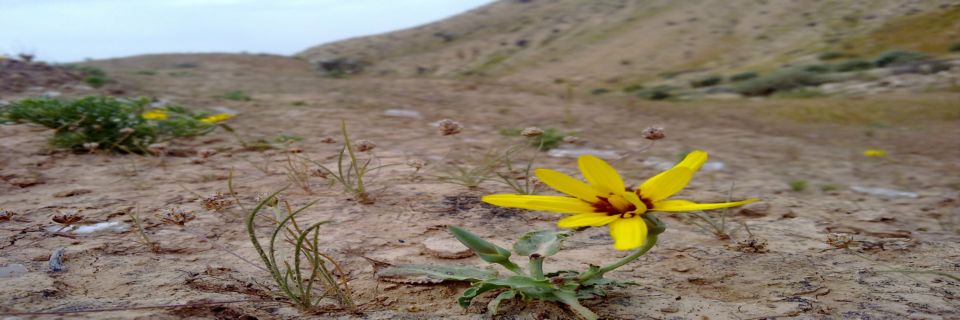 گروه طراحی قالب من