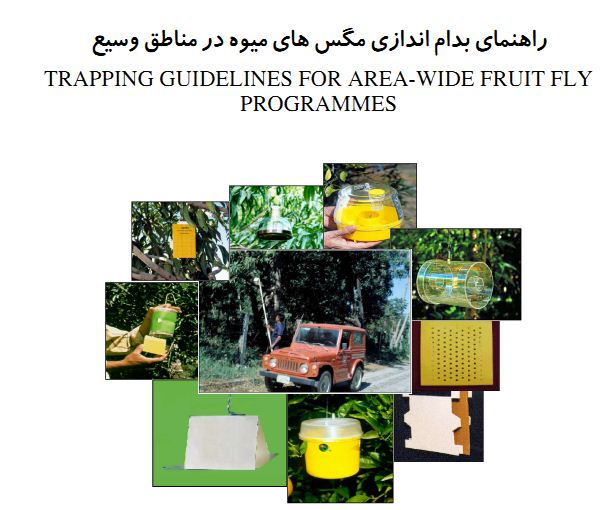 به دام اندازی مگس ها