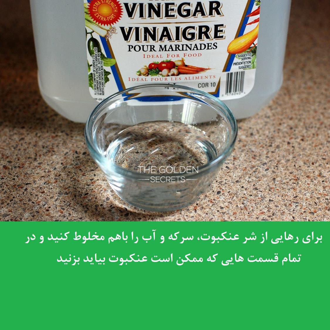 http://s2.picofile.com/file/8261248918/%D8%A8%D9%87_%D8%B1%D8%A7%D8%AD%D8%AA%DB%8C_%D8%A7%D8%B2_%D8%B4%D8%B1_%D8%B9%D9%86%DA%A9%D8%A8%D9%88%D8%AA_%D9%87%D8%A7%DB%8C_%DA%AF%D9%88%D8%B4%D9%87_%D9%88_%DA%A9%D9%86%D8%A7%D8%B1_%D8%AE%D9%88%D9%86%D9%87_%D8%AE%D9%84%D8%A7%D8%B5_%D8%B4%DB%8C%D8%AF.jpg