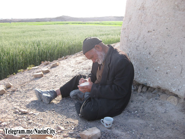آقای حیدر مفیدی آخرین آسیابان آسیاب آبی ریگاره