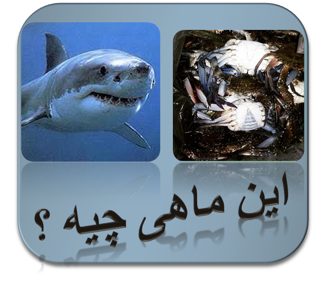 [تصویر:  ICO.png]