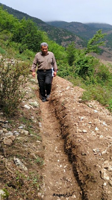 روستا