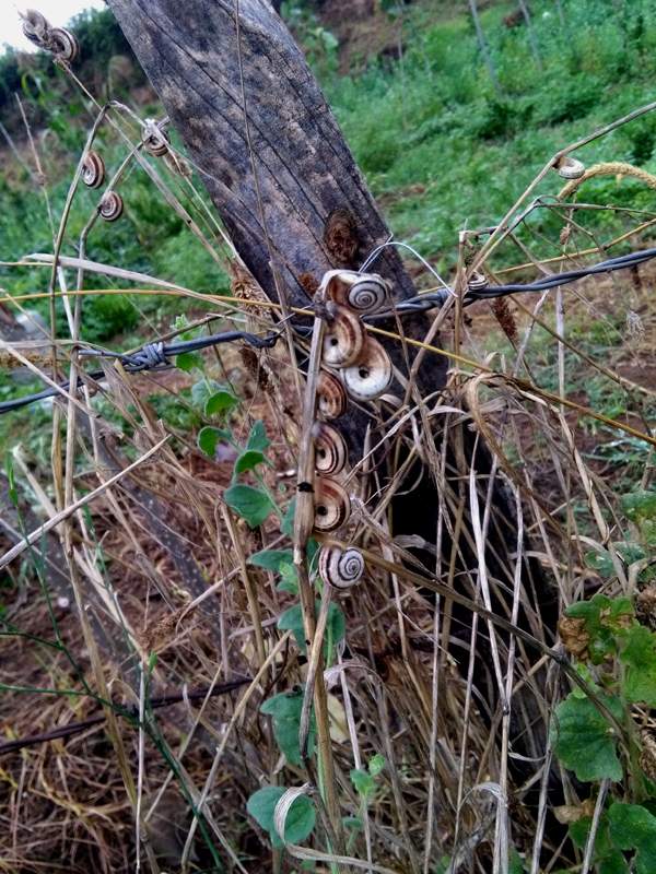 IMG_20160730_084018.jpg (600×800)