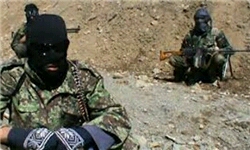 حمایت داعشی های خر از گروهک تروریستی  توحید و جهاد