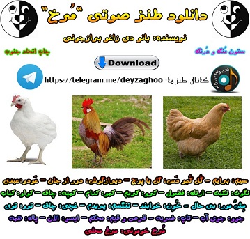 طنز مرغ