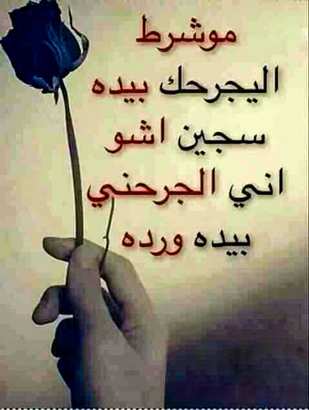 صور علیها احله کلمات