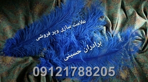 شترمرغ شترمرغ