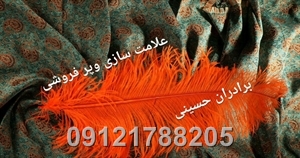 شترمرغ