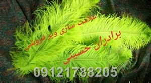 پرعلامت محرم