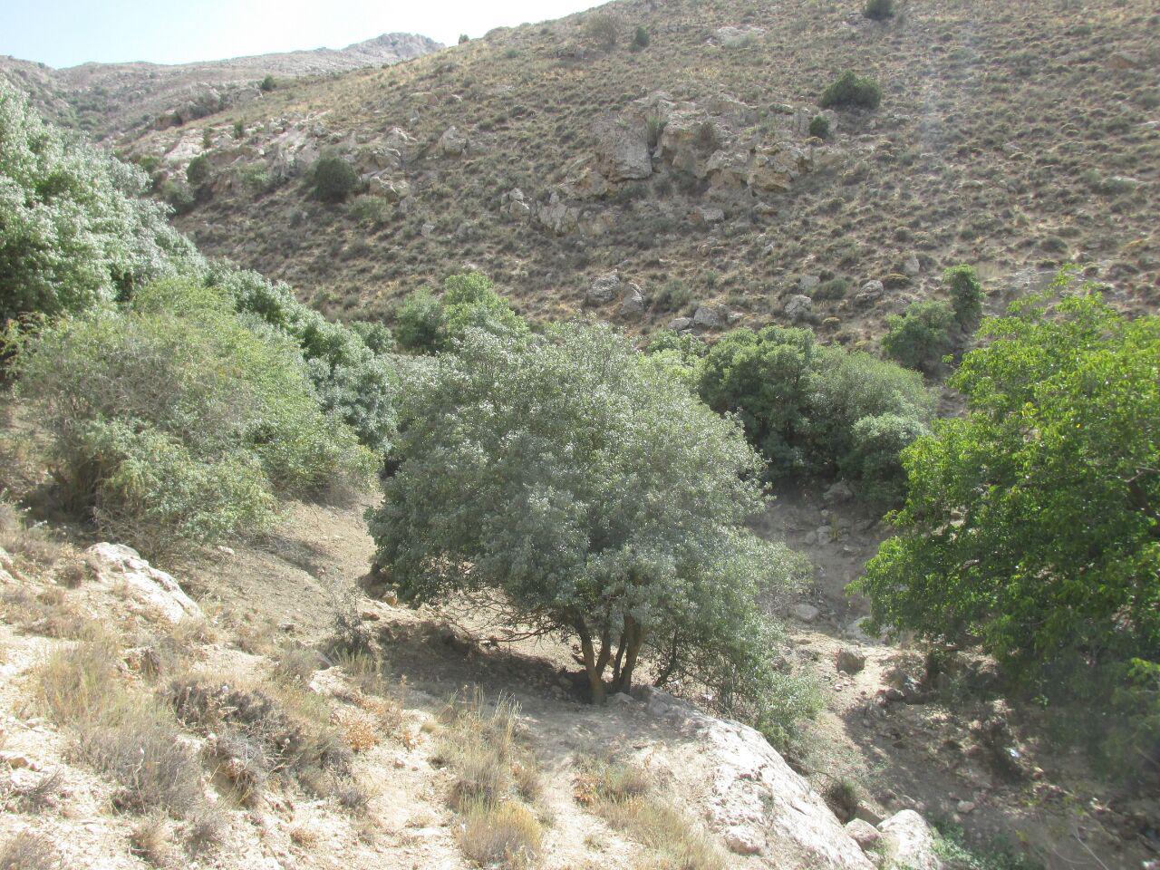 قزلق گرمه، مکانی زیبا برای یک سفر تابستانی/ تصاویر