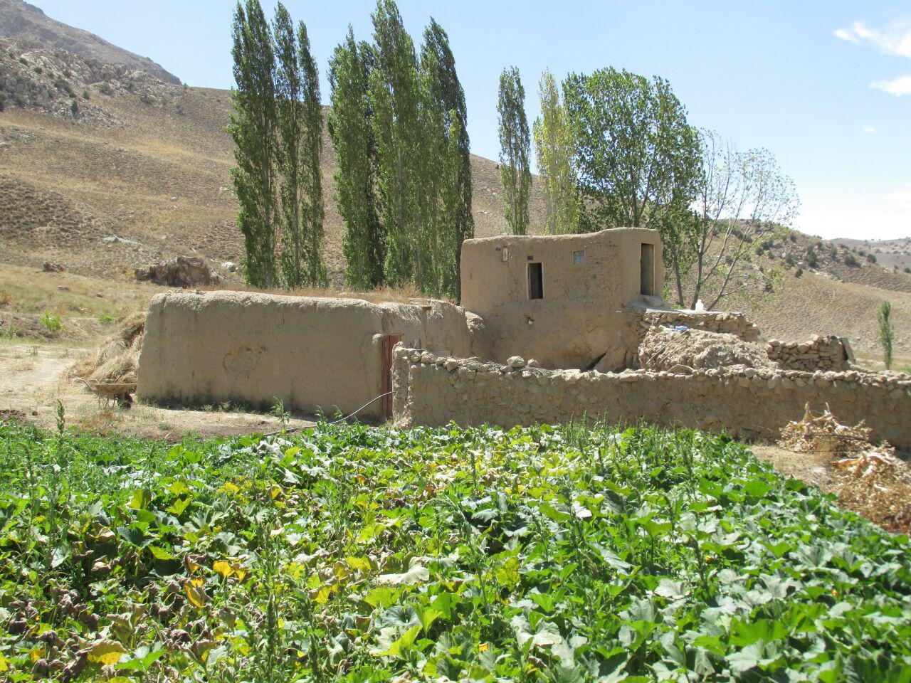 قزلق گرمه، مکانی زیبا برای یک سفر تابستانی/ تصاویر