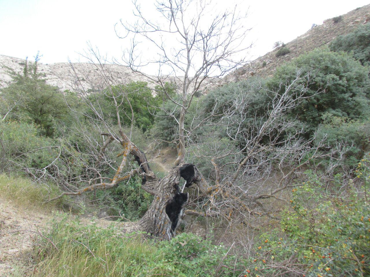 قزلق گرمه، مکانی زیبا برای یک سفر تابستانی/ تصاویر