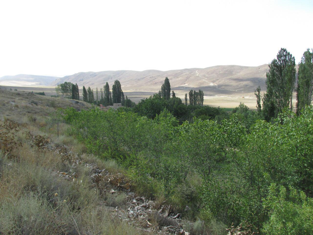 قزلق گرمه، مکانی زیبا برای یک سفر تابستانی/ تصاویر
