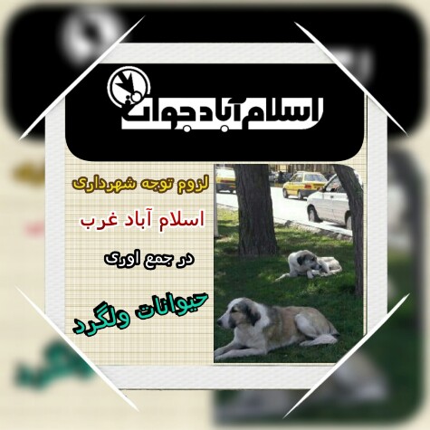 اسلام آباد جوان