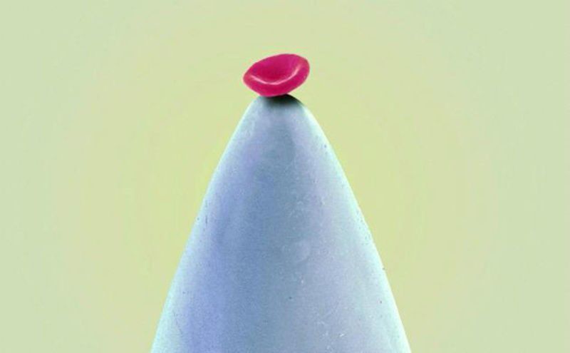 http://s2.picofile.com/file/8264936242/425431508_47944.jpg