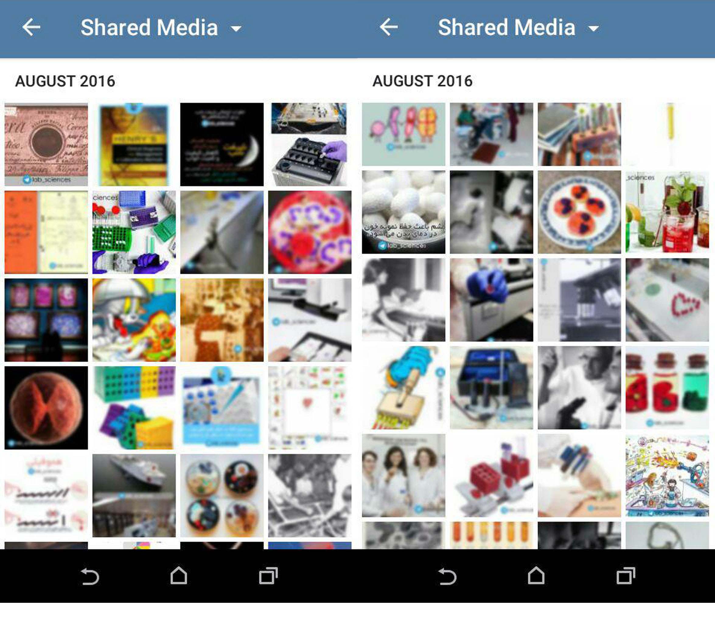 کانال علوم آزمایشگاهی
