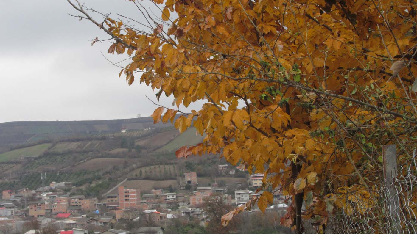 1_2_.jpg (1400×787)