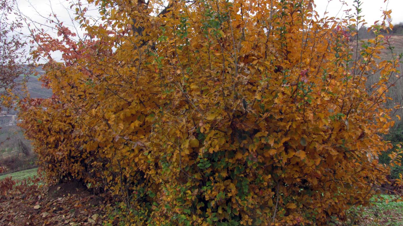 1_20_.jpg (1400×787)