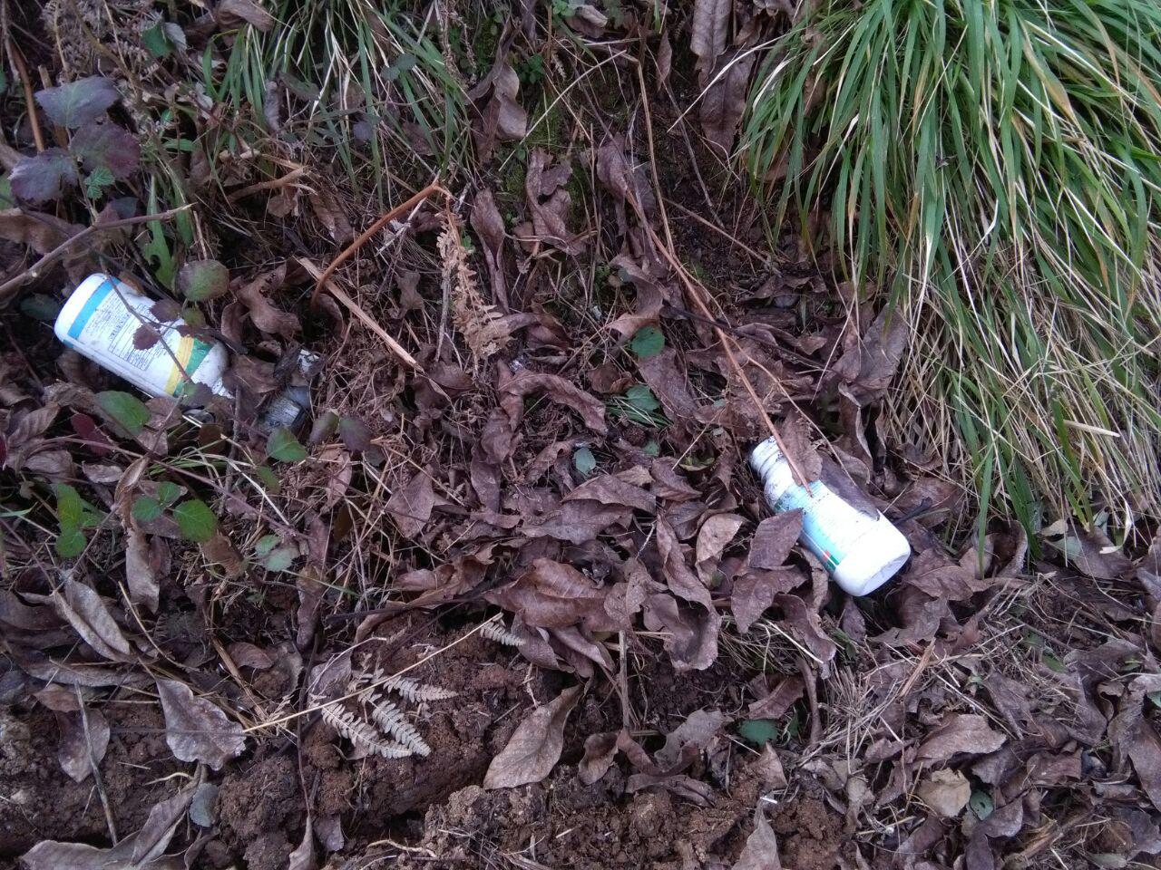 1_11_.jpg (1280×960)