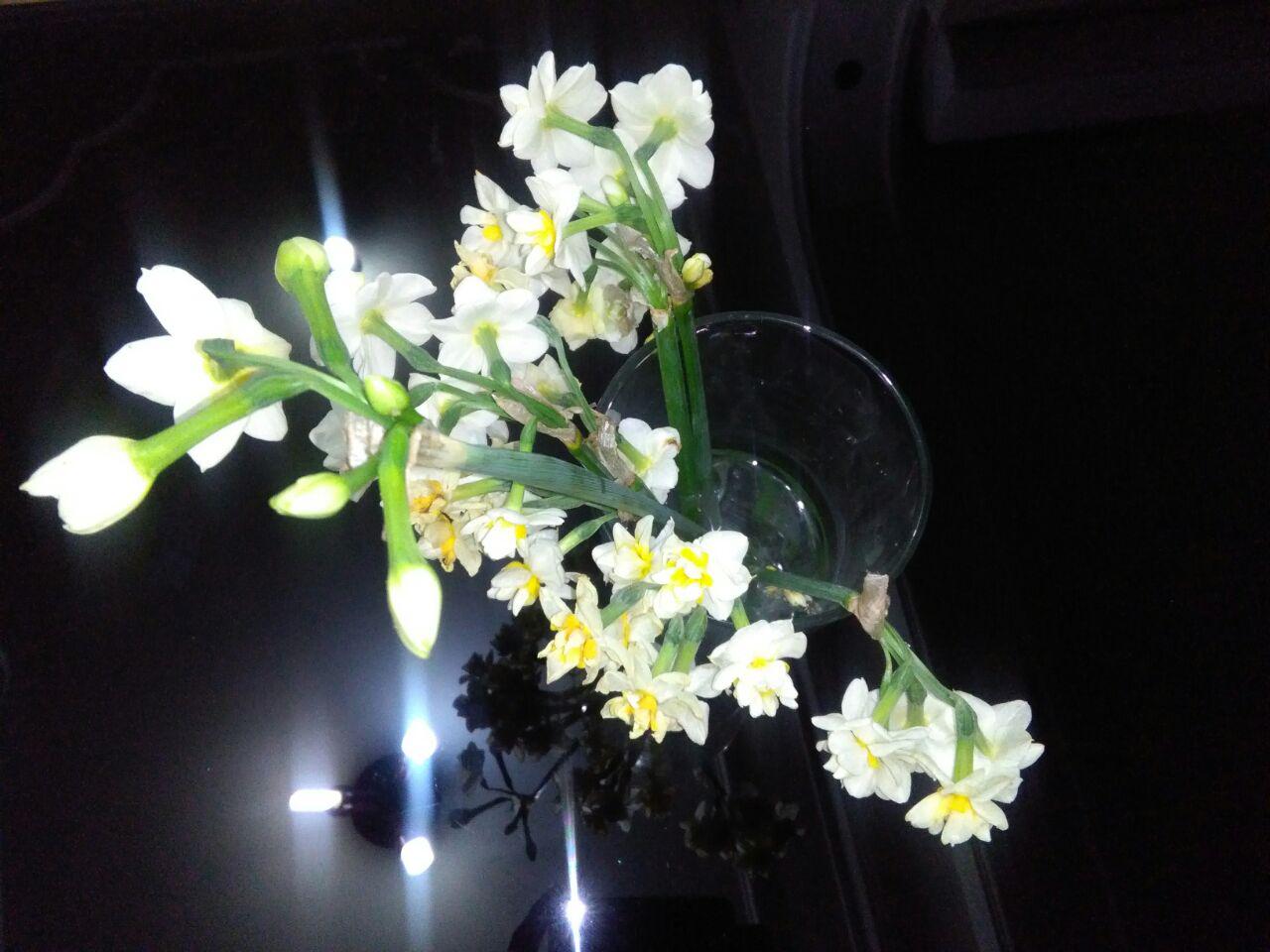 1_23_.jpg (1280×960)