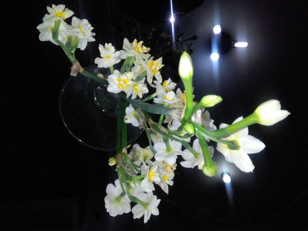 1_32_.jpg (1280×960)