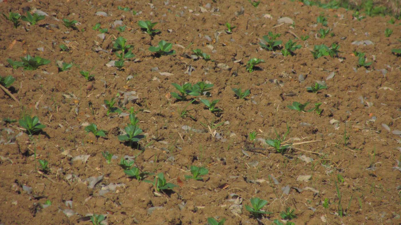 1_36_.jpg (1400×787)