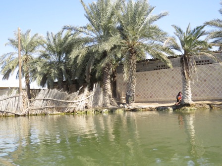 http://s2.picofile.com/file/8285489034/IMG_38341.JPG