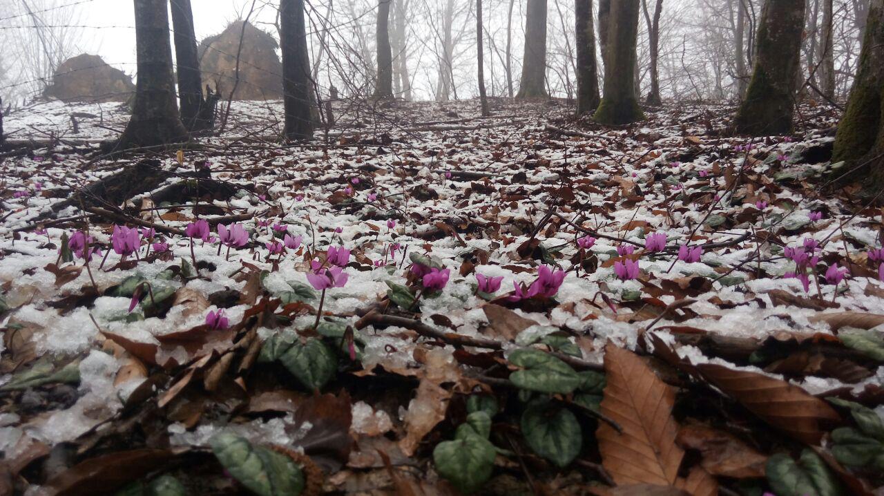 1_1_.jpg (1280×718)