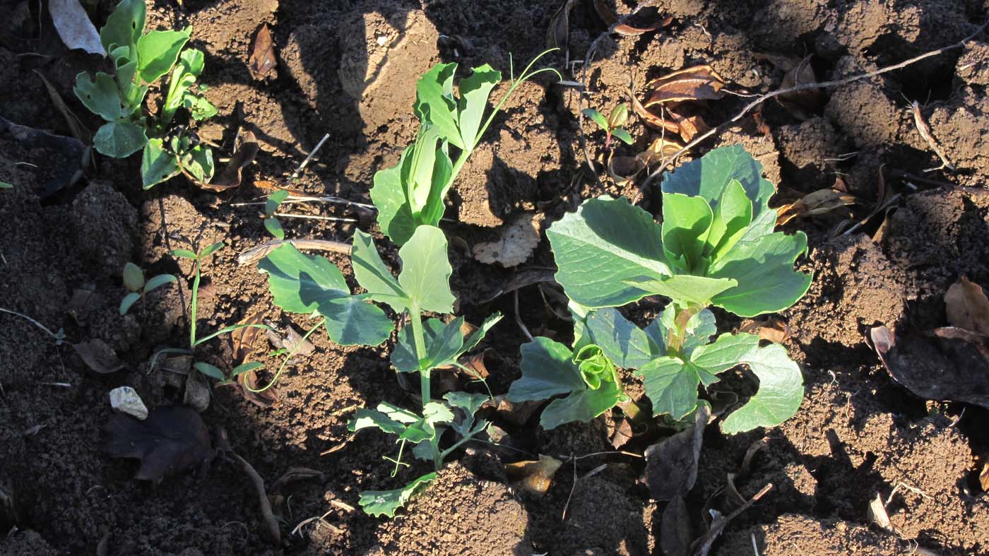 1_8_.jpg (1400×787)